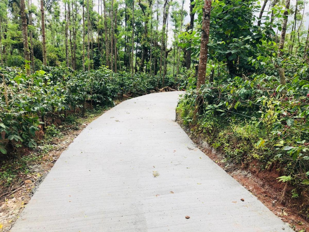 Silver Springs Homestay Chickmagalur Chikmagalur Luaran gambar